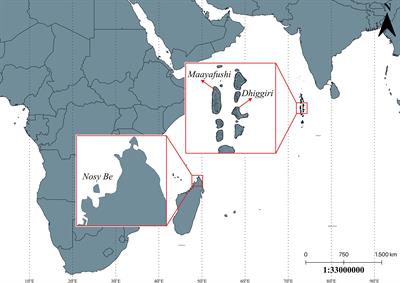 Long-Term Effects of an Informal Education Program on Tourist Environmental Perception